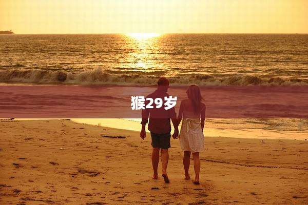 猴29岁