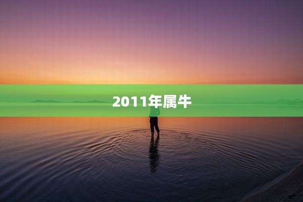 2011年属牛