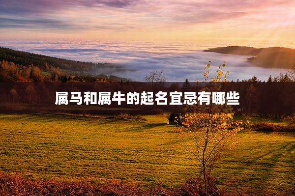 属马和属牛的起名宜忌有哪些