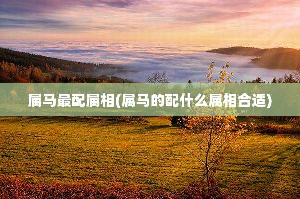 属马最配属相(属马的配什么属相合适)