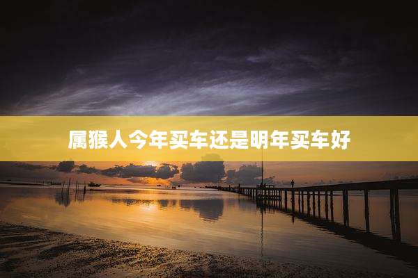 属猴人今年买车还是明年买车好