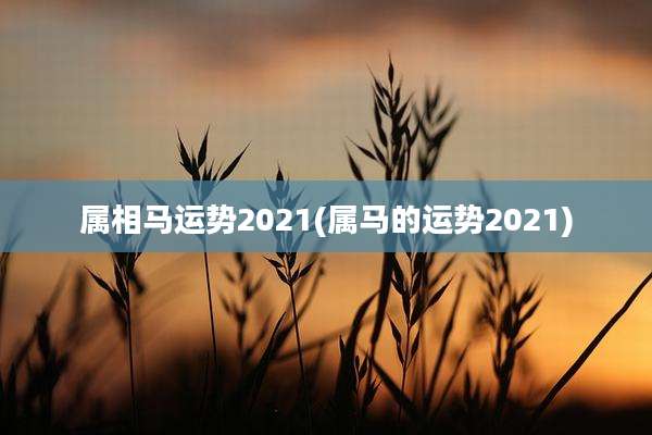 属相马运势2021(属马的运势2021)