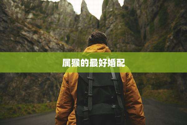 属猴的最好婚配