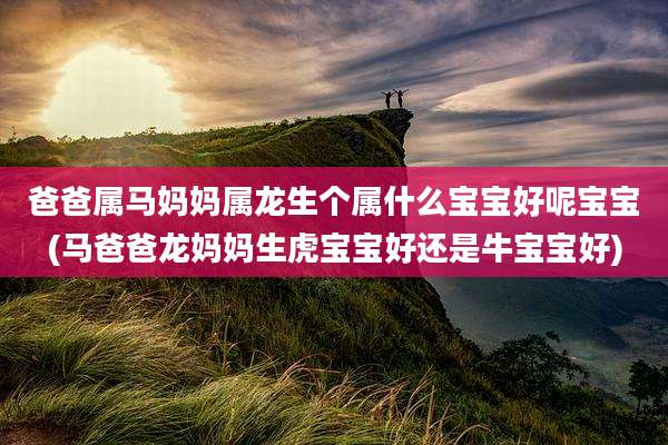 爸爸属马妈妈属龙生个属什么宝宝好呢宝宝(马爸爸龙妈妈生虎宝宝好还是牛宝宝好)
