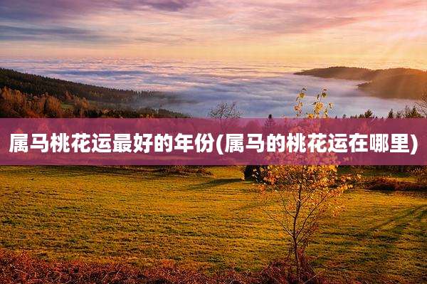 属马桃花运最好的年份(属马的桃花运在哪里)