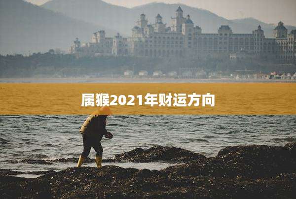 属猴2021年财运方向