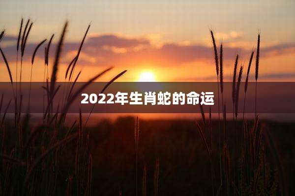 2022年生肖蛇的命运