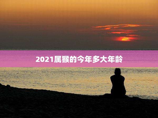 2021属猴的今年多大年龄