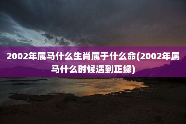 2002年属马什么生肖属于什么命(2002年属马什么时候遇到正缘)
