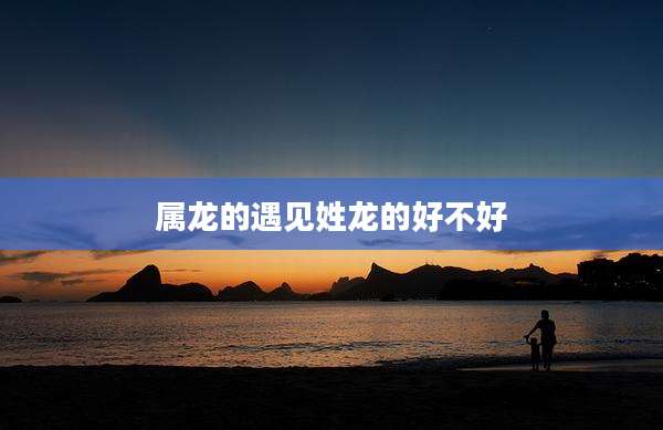 属龙的遇见姓龙的好不好