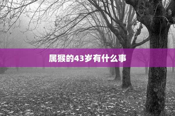 属猴的43岁有什么事