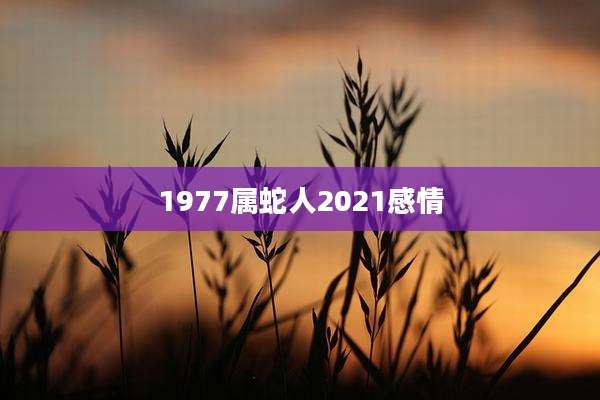 1977属蛇人2021感情