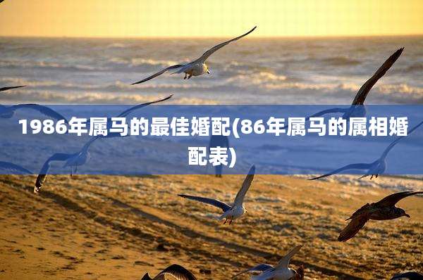 1986年属马的最佳婚配(86年属马的属相婚配表)