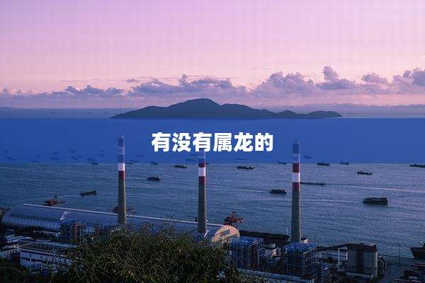 有没有属龙的