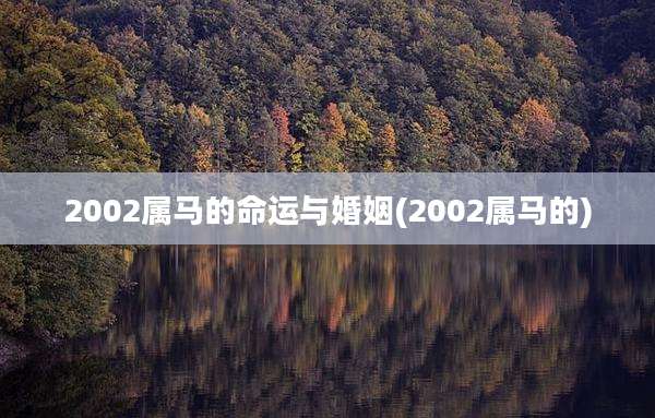 2002属马的命运与婚姻(2002属马的)