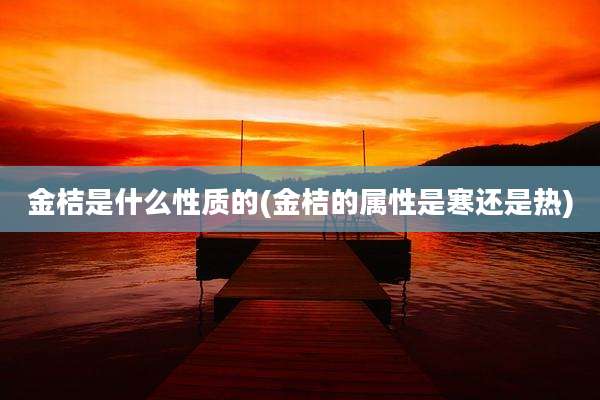 金桔是什么性质的(金桔的属性是寒还是热)