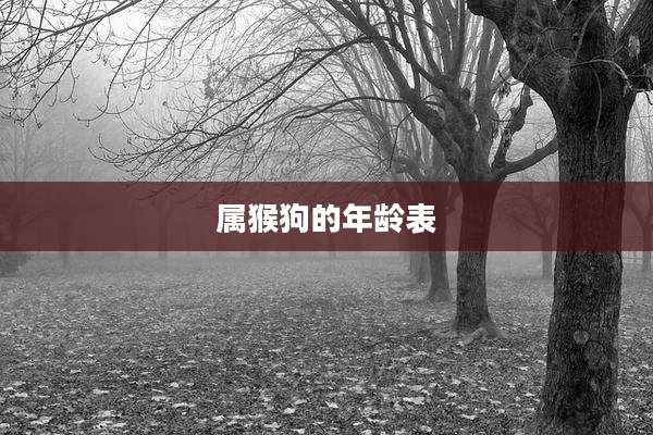 属猴狗的年龄表