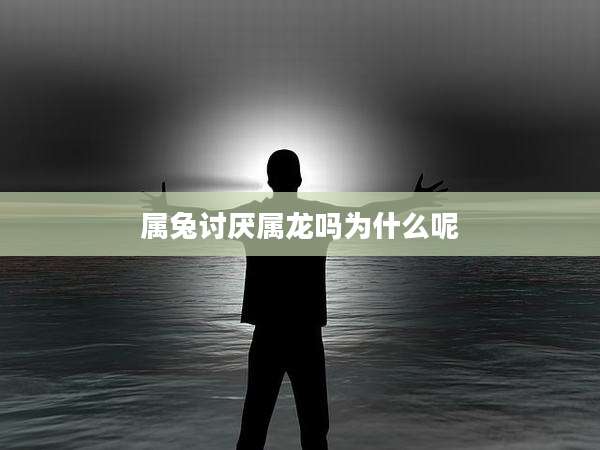 属兔讨厌属龙吗为什么呢