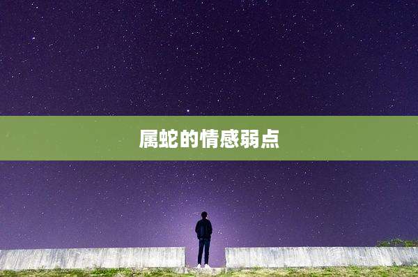 属蛇的情感弱点