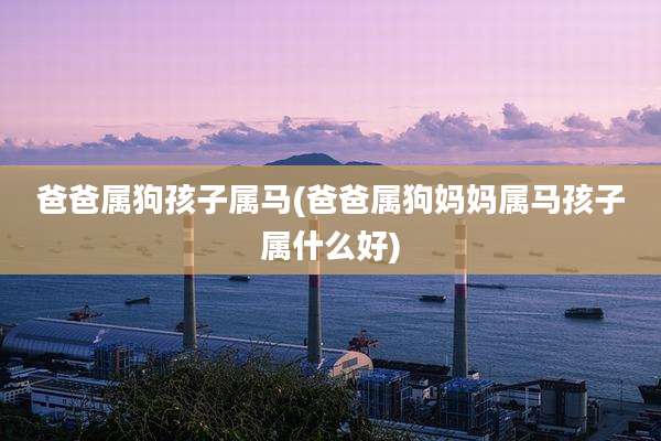 爸爸属狗孩子属马(爸爸属狗妈妈属马孩子属什么好)