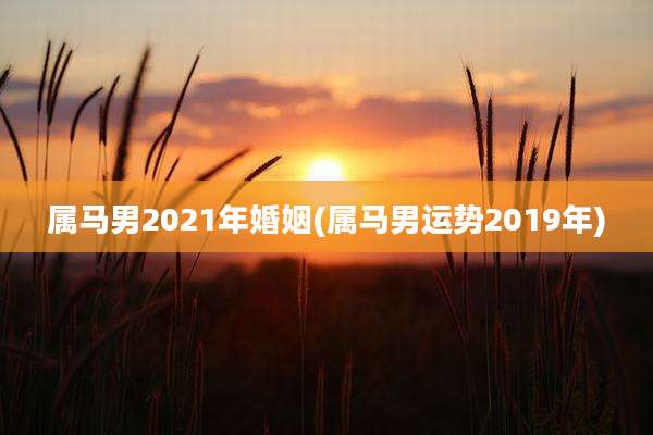 属马男2021年婚姻(属马男运势2019年)