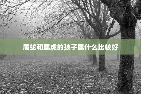 属蛇和属虎的孩子属什么比较好