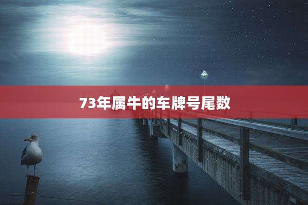 73年属牛的车牌号尾数