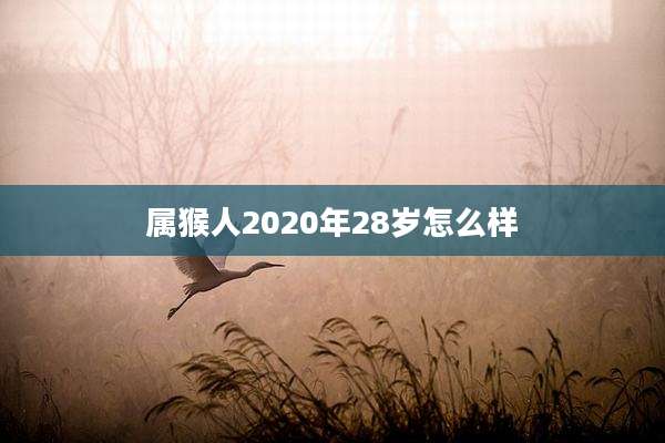 属猴人2020年28岁怎么样