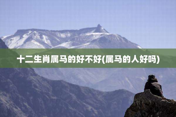 十二生肖属马的好不好(属马的人好吗)