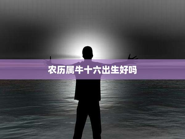 农历属牛十六出生好吗