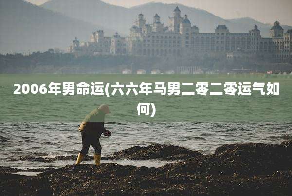 2006年男命运(六六年马男二零二零运气如何)