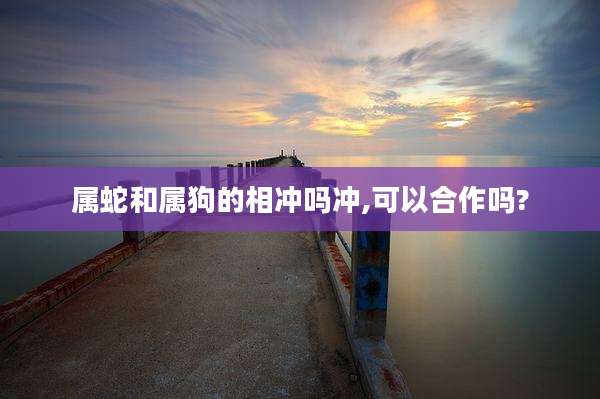 属蛇和属狗的相冲吗冲,可以合作吗?