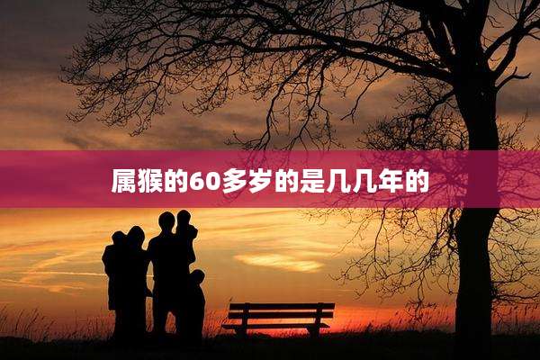 属猴的60多岁的是几几年的