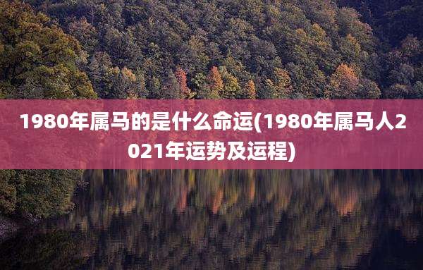 1980年属马的是什么命运(1980年属马人2021年运势及运程)