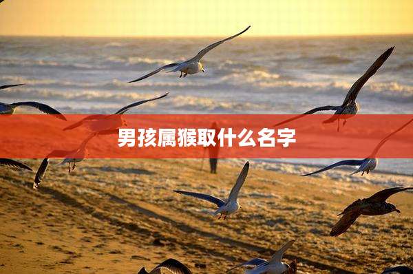 男孩属猴取什么名字