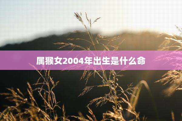 属猴女2004年出生是什么命