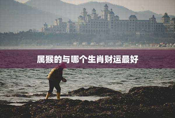 属猴的与哪个生肖财运最好