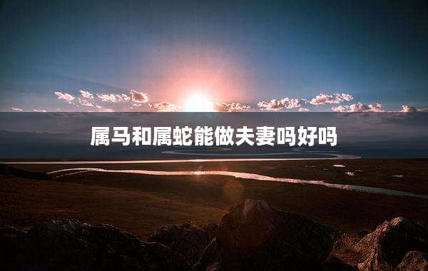 属马和属蛇能做夫妻吗好吗
