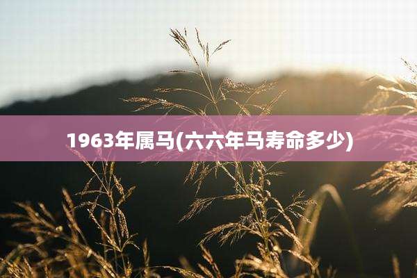 1963年属马(六六年马寿命多少)
