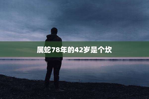 属蛇78年的42岁是个坎