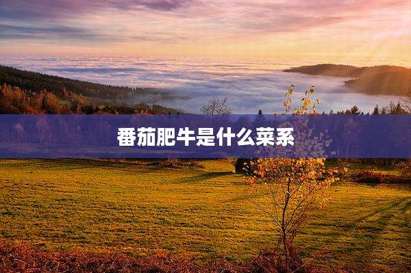 番茄肥牛是什么菜系