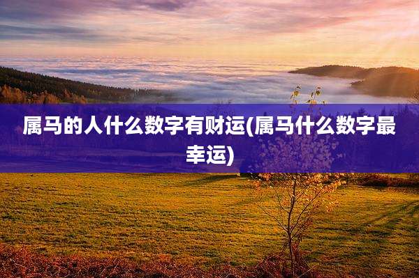 属马的人什么数字有财运(属马什么数字最幸运)