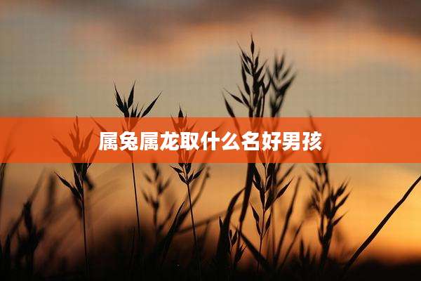 属兔属龙取什么名好男孩