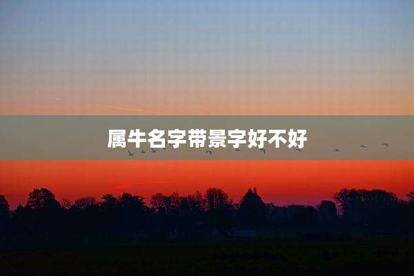 属牛名字带景字好不好