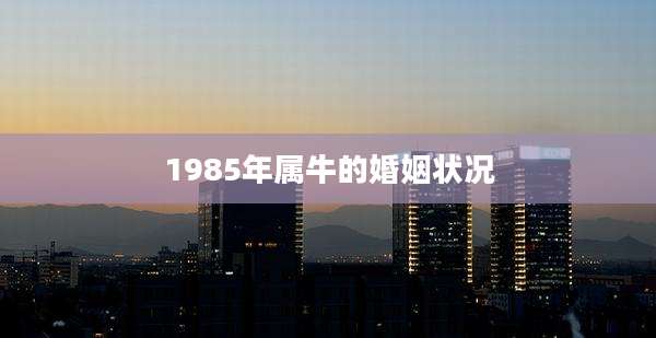 1985年属牛的婚姻状况
