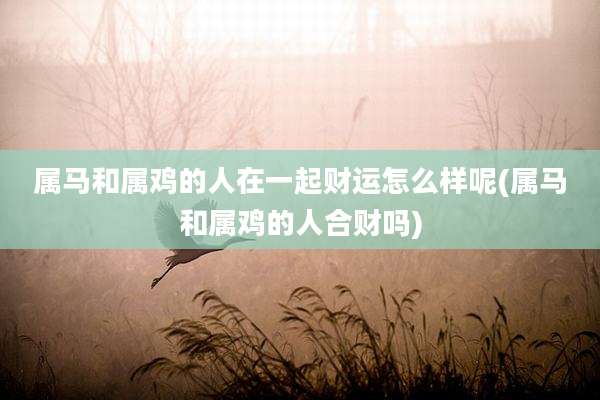 属马和属鸡的人在一起财运怎么样呢(属马和属鸡的人合财吗)