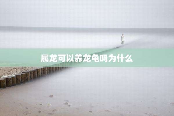 属龙可以养龙龟吗为什么