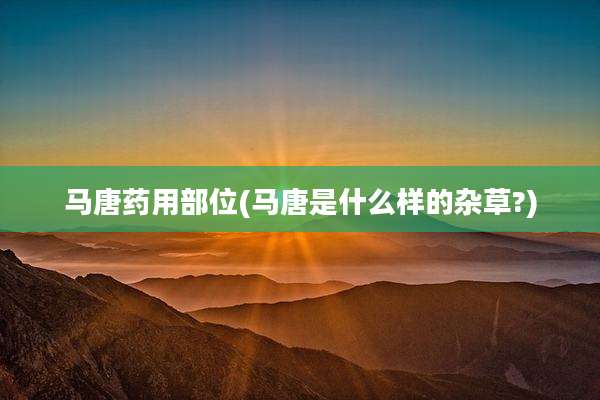 马唐药用部位(马唐是什么样的杂草?)