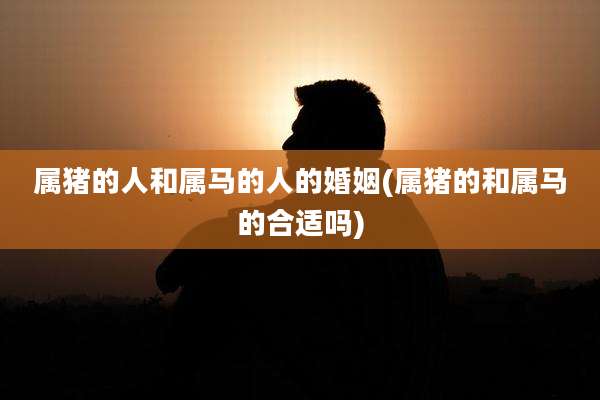 属猪的人和属马的人的婚姻(属猪的和属马的合适吗)