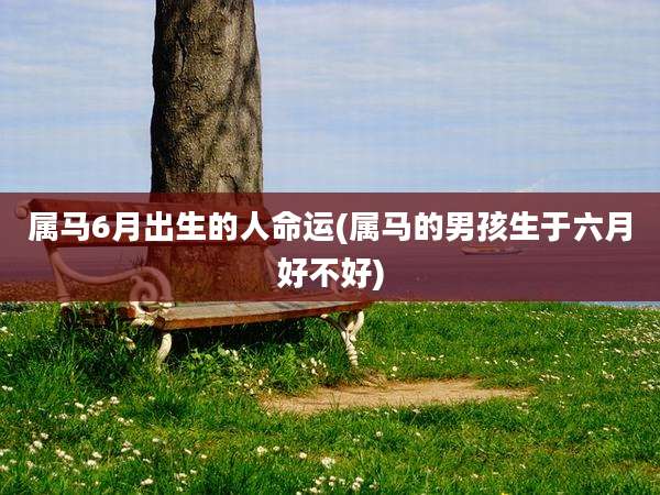 属马6月出生的人命运(属马的男孩生于六月好不好)